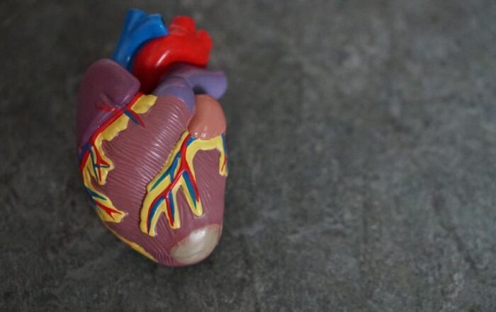 Tips on Finding a Cardiologist Who Understands Your Needs