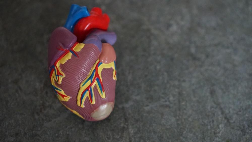Tips on Finding a Cardiologist Who Understands Your Needs